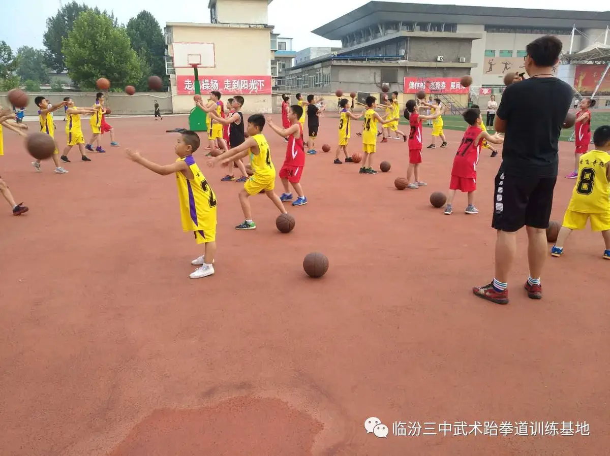 哪里能找到智能化篮球训练的应用程序_2